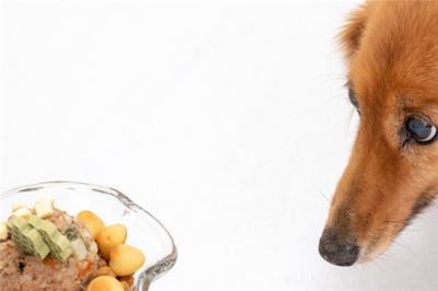 皇誉宠物食品 匠心品质，守护爱宠健康