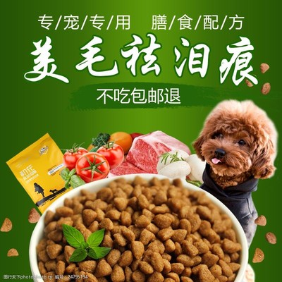 宠物狗粮营养图片素材 展现宠物食品的健康魅力