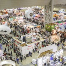 昌顺宠物用品厂 专注打造爱宠高品质生活